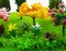 28 Pcs Miniature Fairy Garden Tree Plant Ornament, Mixed Model Trees 1-3 Inches, Miniature Dollhouse Pots Decor Moss Bonsai Micro Landscape